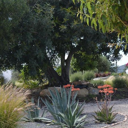 モンカラパッショ Quinta Luz Do Sol Bed & Breakfast エクステリア 写真