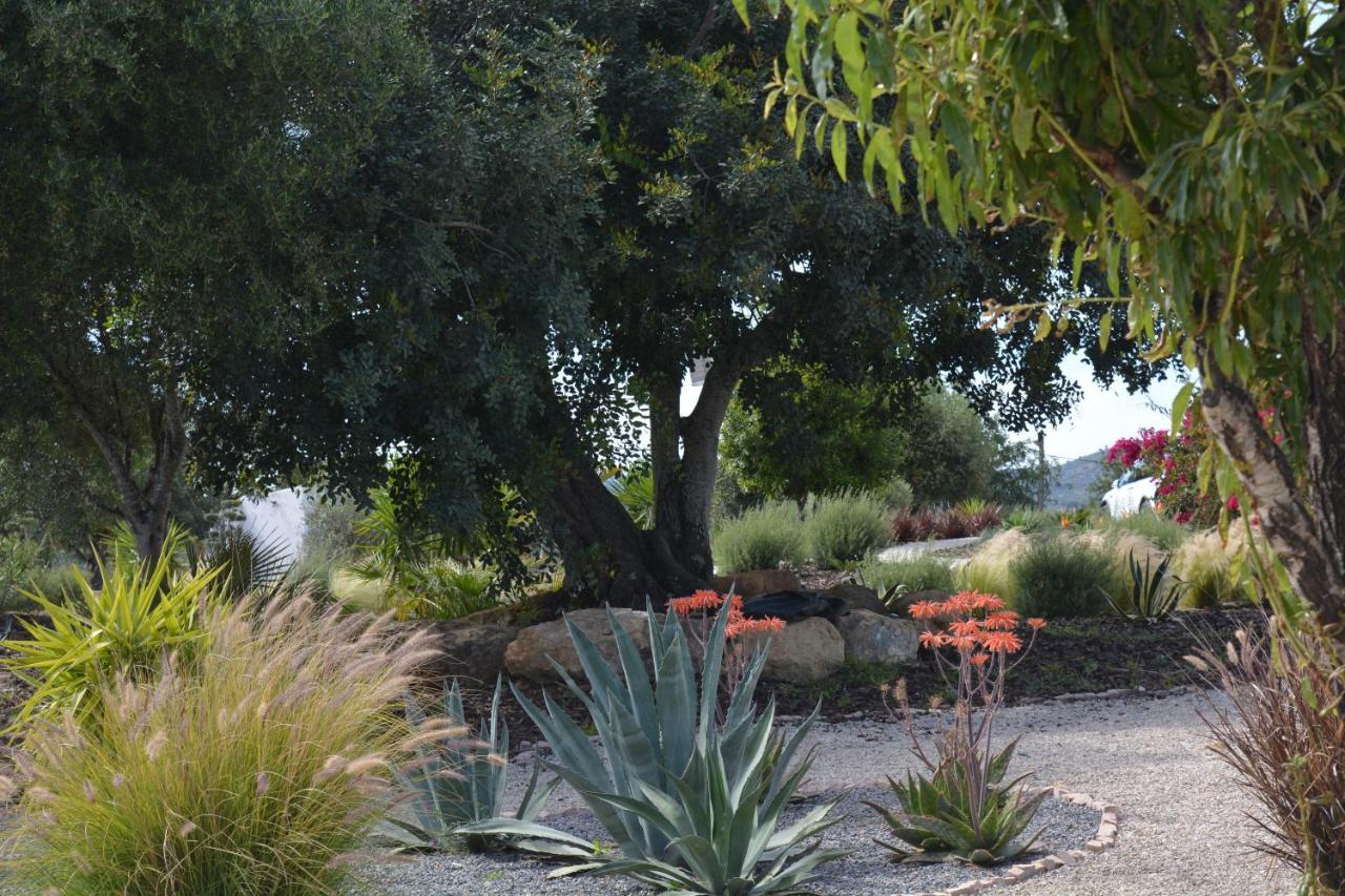 モンカラパッショ Quinta Luz Do Sol Bed & Breakfast エクステリア 写真